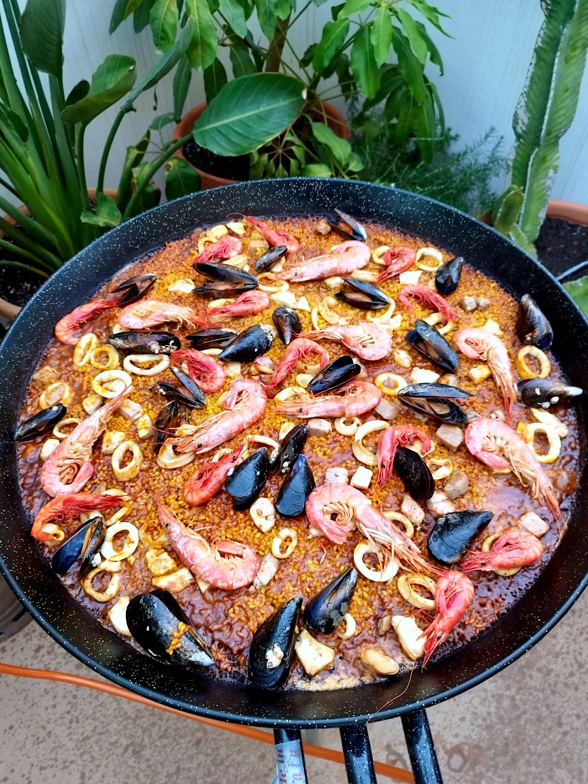 Beyond Paella: A Deep Dive into Spain's Rich World of Rice Dishes