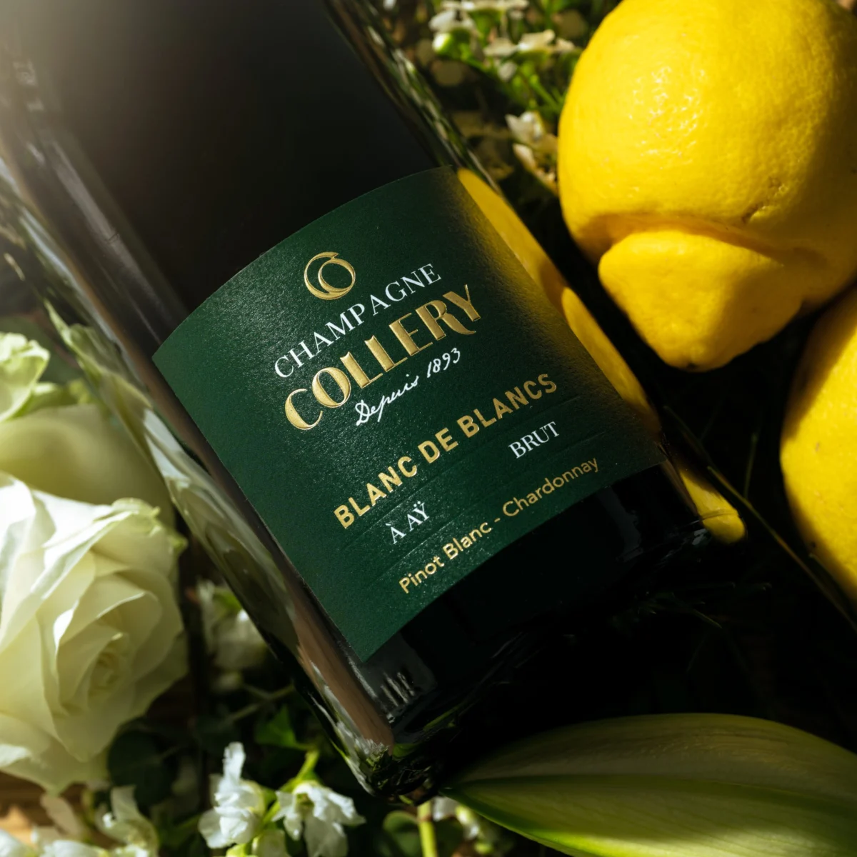 Crisis of Execution: Former COO Robert Foye Issues Scathing Critique of Treasury Wine Estates Ahead of Pivotal Investor Day