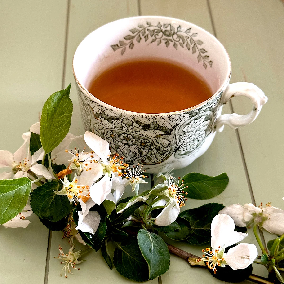 The Modest Truth: Unpacking the Science Behind Metabolism-Supporting Teas