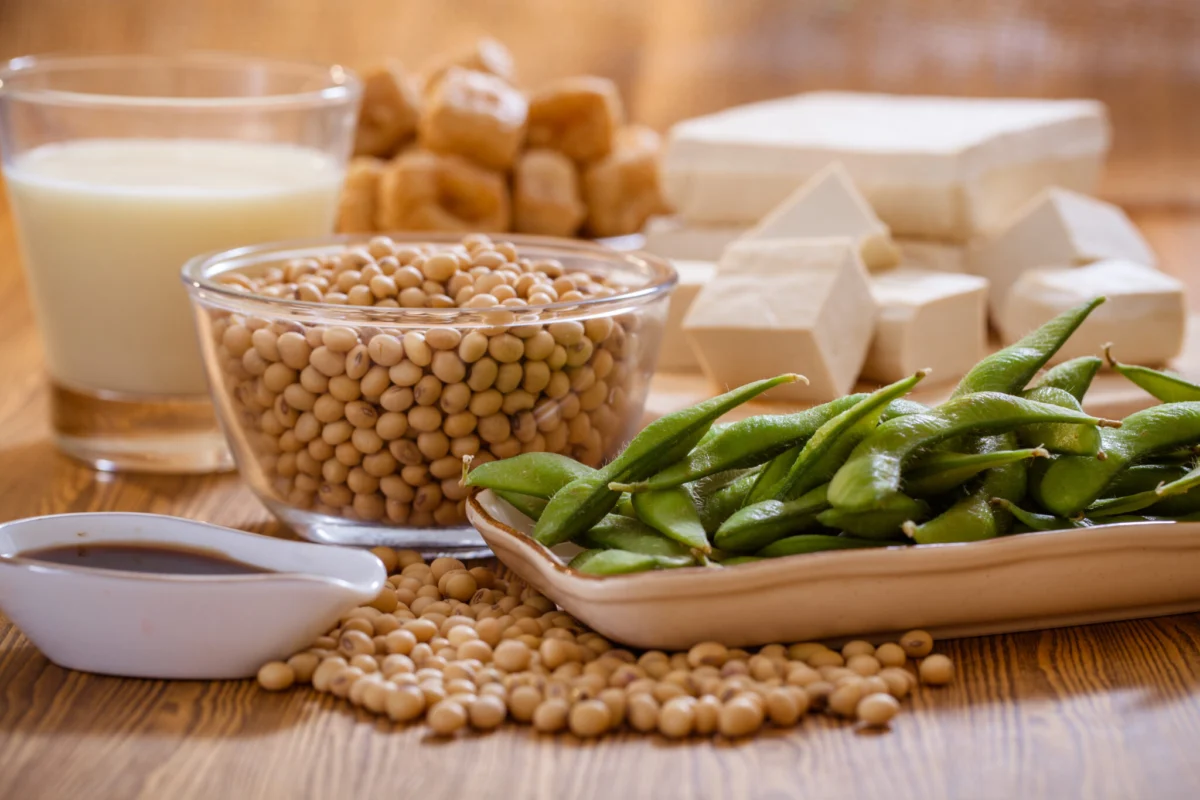 EU's New Protein Action Plan: A Focus on Livestock Feed Sparks Debate on Human Diets and Agricultural Sustainability