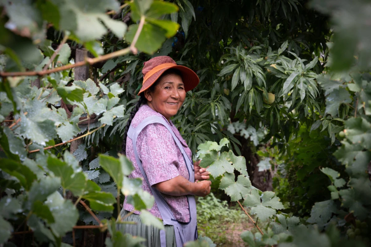 Heritage, Innovation, and Industry Shifts: A Week of Transformation in the Global Wine Sector