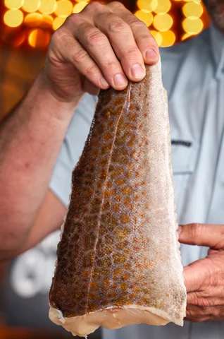 From Canadian Waters to Texan Grills: The Ultimate Baja Fish Taco Experience