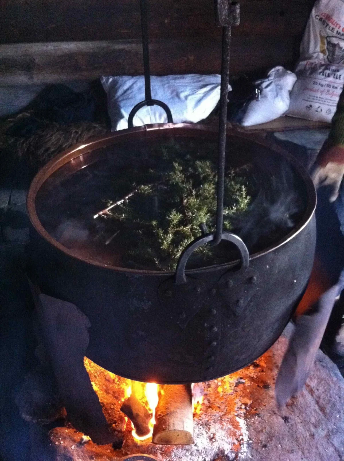 Unearthing the Ancient Brew: Norway's Farmhouse Beer and the Enduring Legacy of Kveik Yeast